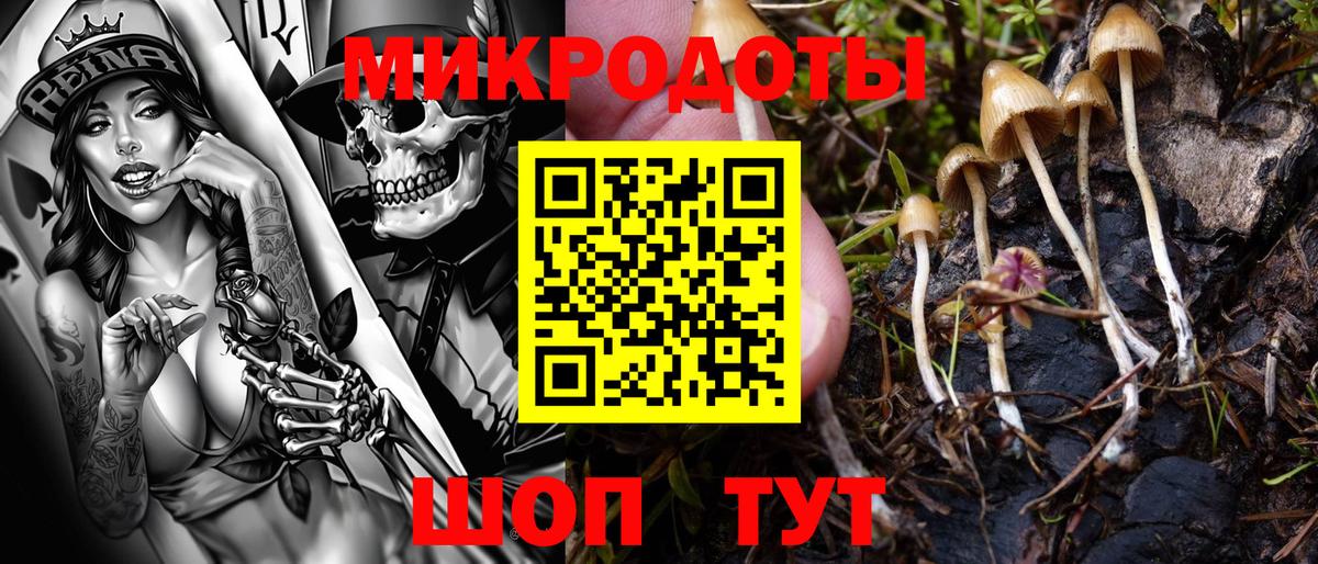 Галлюциногенные грибы прущие грибы Сарапул