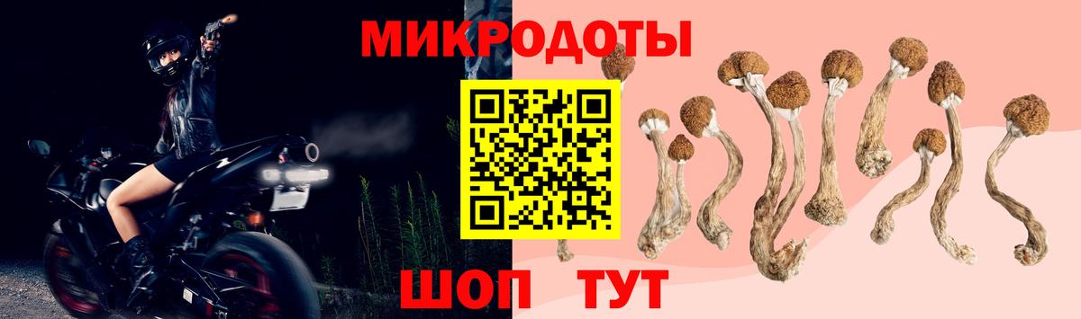 Сарапул  Псилоцибиновые грибы прущие грибы  Вход с VPN 